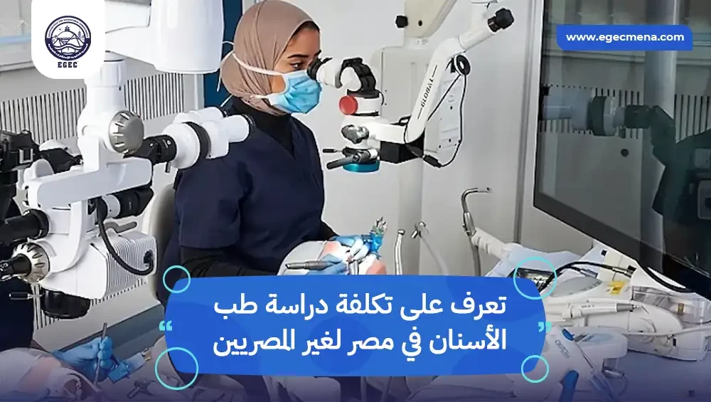 تكلفة دراسة طب الأسنان في مصر لغير المصريين